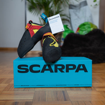 Scarpa Drago